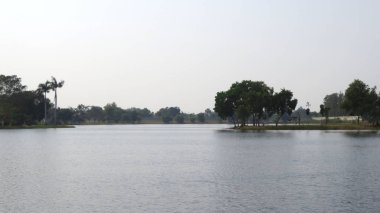 Yeşil yemyeşil su birikintisi ağaçları ile Şehir Parkı