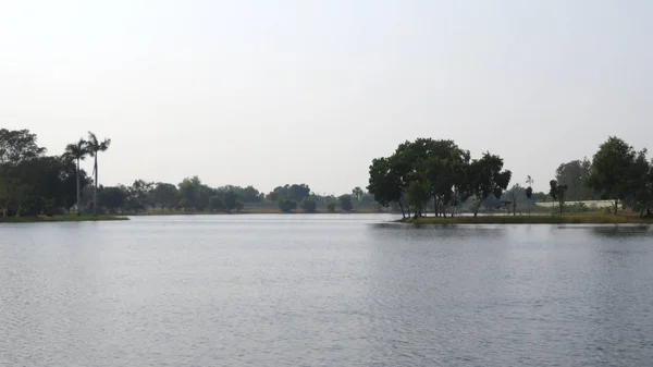 Verde exuberante estanque en el parque de la ciudad con árboles — Foto de Stock