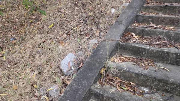 Escadas de concreto com pedras e folha seca ao lado — Fotografia de Stock