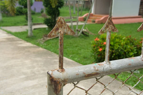 Fourmi rouge sur la clôture en Thaïlande — Photo