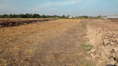 Lastik izleri, Tayland bir çamurlu yolda
