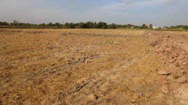 Lastik izleri, Tayland bir çamurlu yolda