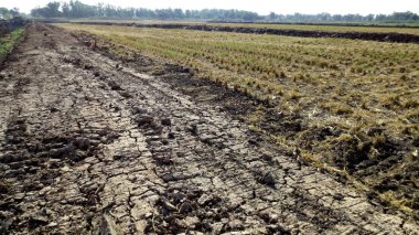 Lastik izleri, Tayland bir çamurlu yolda