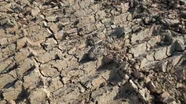 Lastik izleri, Tayland bir çamurlu yolda