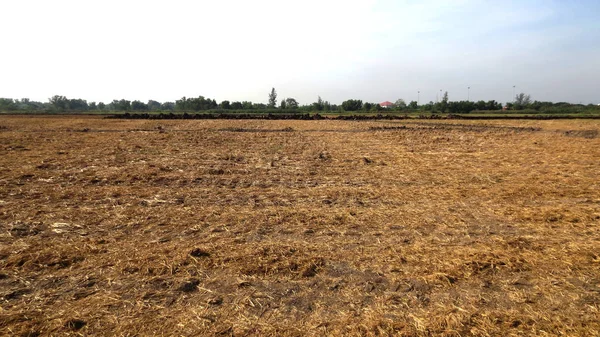 Lastik izleri, Tayland bir çamurlu yolda