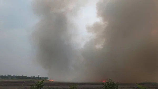 Дым из горящей соломы на поле в Таиланде — стоковое фото