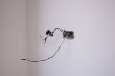 Elektrik fişi yuva kurmak için bekliyor