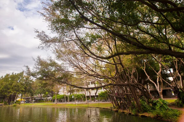 Estanque al aire libre en el parque en Tailandia — Foto de Stock