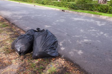 Alınmayı bekleyen Kazıklı siyah çöp torbaları