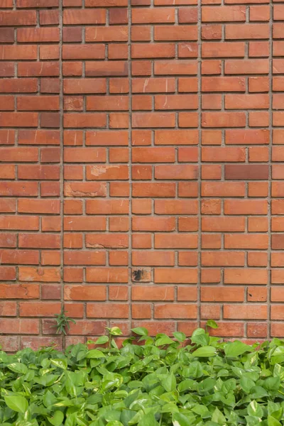Extérieur Mur de brique rouge texture de fond à thailand — Photo