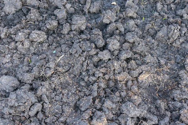 种植植物用的空地土 — 图库照片