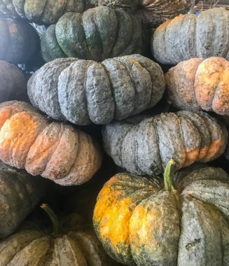 Tayland pazarında taze balkabağı yığını