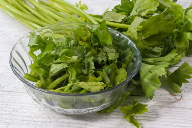 Cam kasede taze kereviz tohumu.