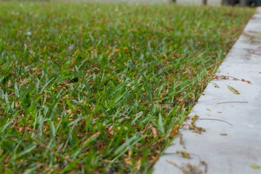 Tayland 'daki modern evde cam pencereler