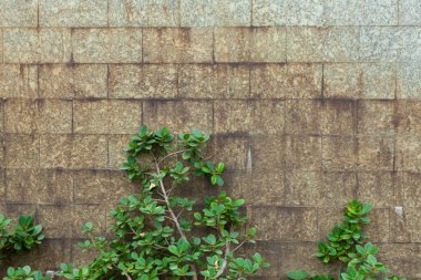 Tayland 'da açık alan tuğla duvar fabrikası