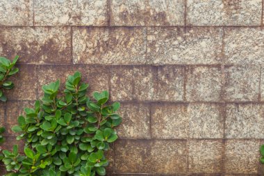 Tayland 'da açık alan tuğla duvar fabrikası