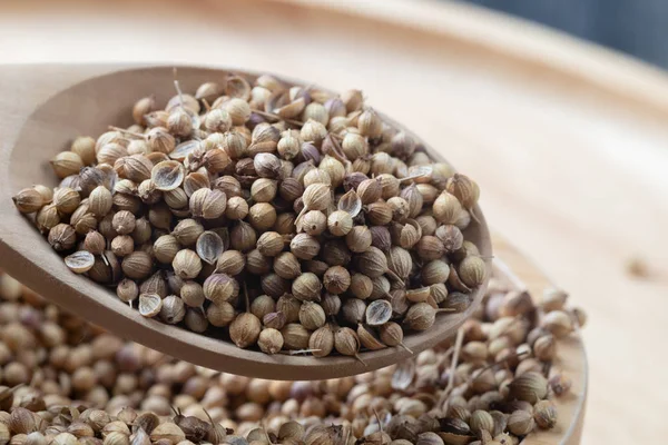 Zblízka hromada semen koriandru a dřevěné lžíce — Stock fotografie