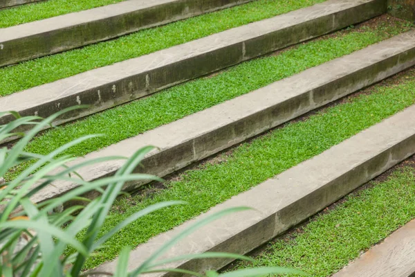 Modern merdiven ve çimenler, taş tezgah. — Stok fotoğraf