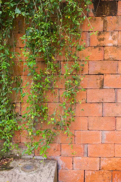 Červená cihlová stěna a betonová podlaha — Stock fotografie