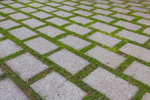 Paving-stone and green grass at thailand — стокове фото