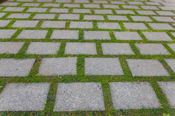 Pedra de pavimento e grama verde na Tailândia — Fotografia de Stock