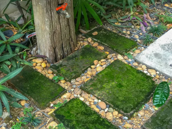 Outdoor Faucet and moss on block floor — 스톡 사진