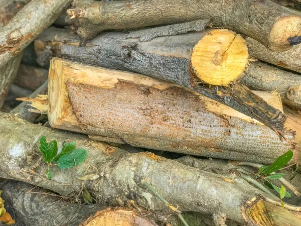 Stapeln von Holzstämmen im Freien in Thailand — Stockfoto