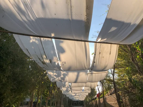 White canvas roof through pathway