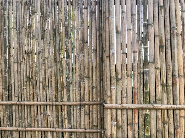 Utomhus bambu staket bakgrund struktur på thailand — Stockfoto