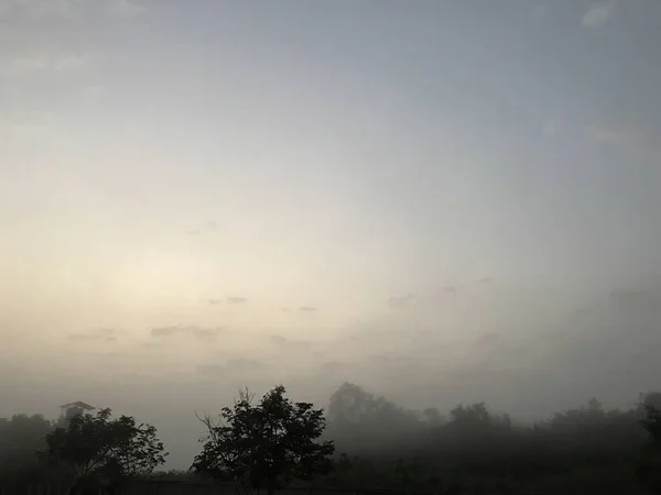 Fog in the land field at the morning — 스톡 사진