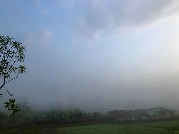 早上地面上的雾气 — 图库照片