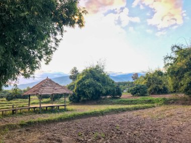 Tayland 'da parktaki açık hava Pavyonu