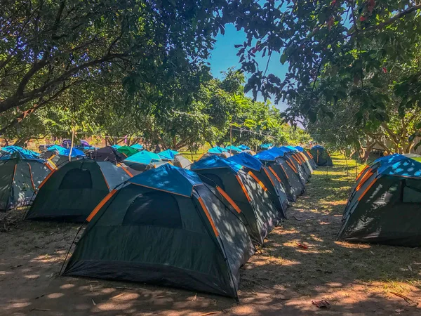 Outdoor Tent in field at the forest — 스톡 사진