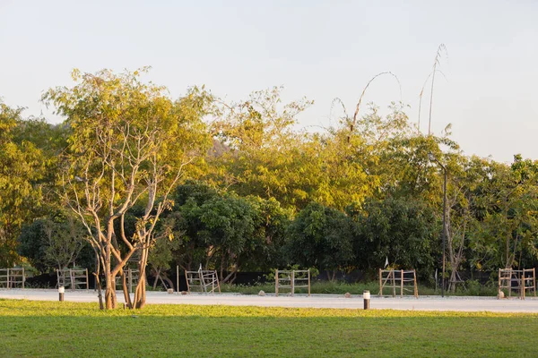 Árbol y montaña en un parque Chaing rai, Tailandia — Foto de Stock
