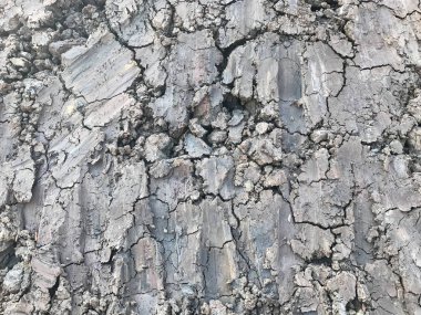 Tayland 'daki inşaat sahasında toprak yığını