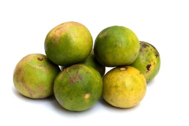 Beyaza izole edilmiş limon limonunu kapat