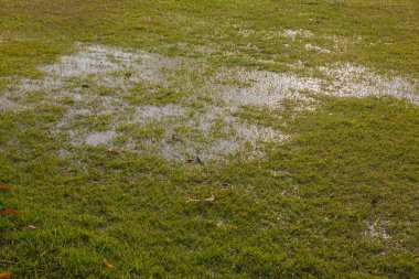 Tayland 'da ıslak futbol sahasında su