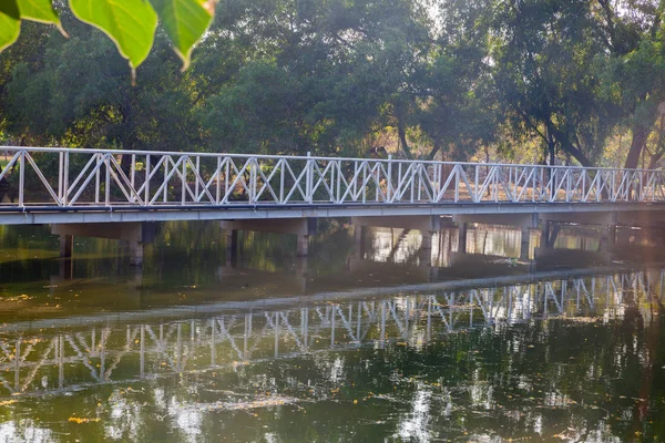 Ponte de aço através da lagoa na Tailândia — Fotografia de Stock