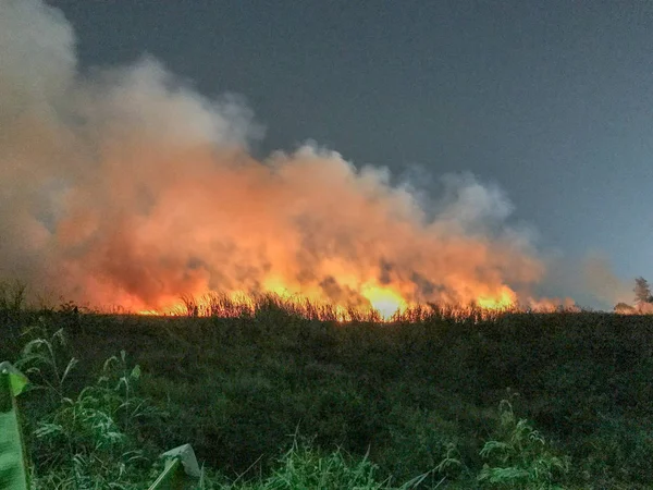 Сжигание соломы на поле ночью — стоковое фото