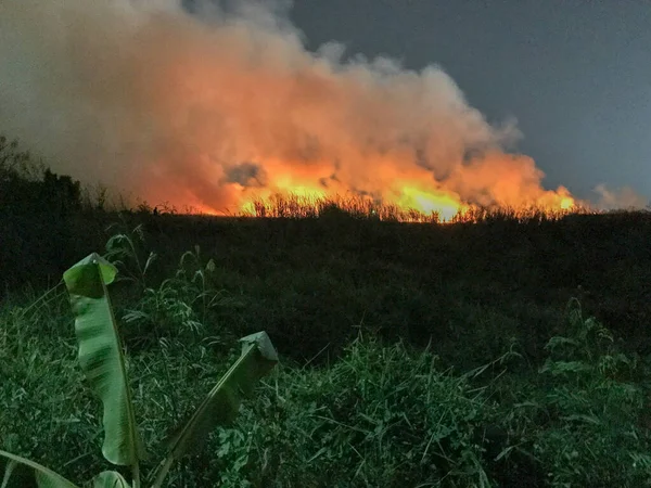 Burning of straw on the field at night — Stock Photo, Image