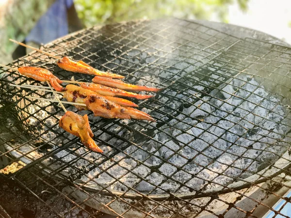 Primer plano de alas de pollo a la parrilla con palo —  Fotos de Stock