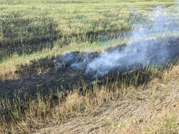 Terras agrícolas com fumaça formam fogo queimando palha de arroz — Fotografia de Stock
