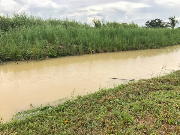 Inundação pesada no canal em Phatthalung Tailândia — Fotografia de Stock