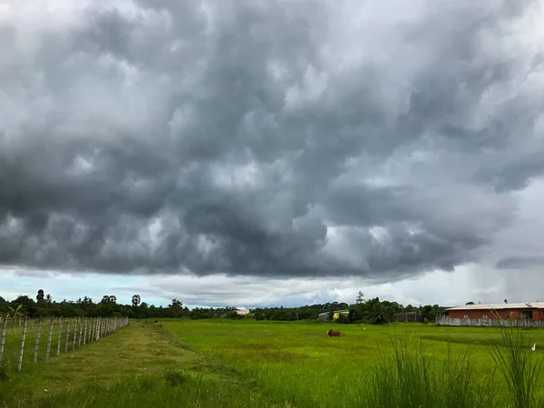 Storm cloud and rice field at thailand — 스톡 사진