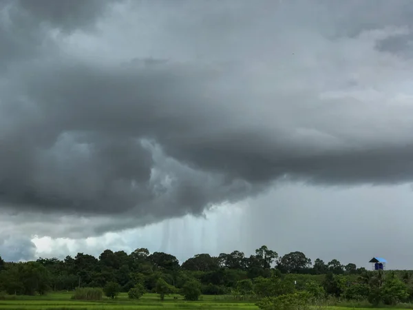 Nube di tempesta e campo di riso in Thailandia — Foto Stock