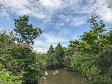 fresh Canal in the forest at thailand