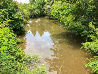 fresh Canal in the forest at thailand