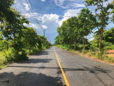 Local road with tree in Phatthalung thailand