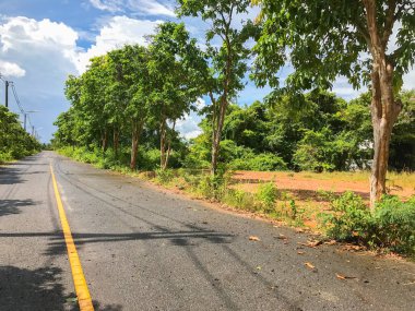 Local road with tree in Phatthalung thailand
