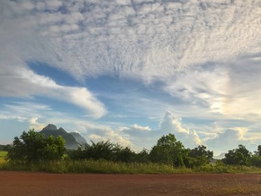Local road with tree in Phatthalung thailand